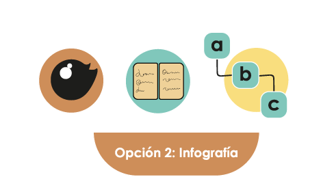 Opción 2: Infografía